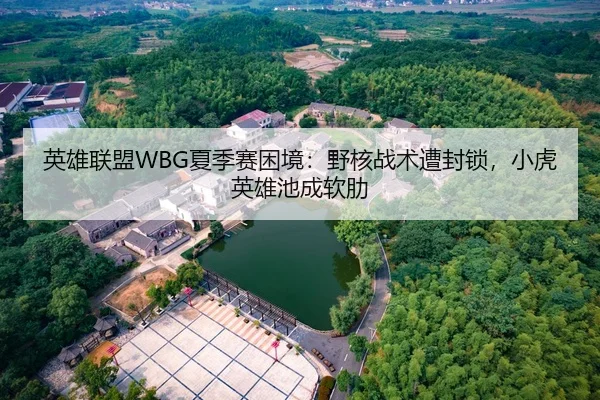 英雄联盟WBG夏季赛困境：野核战术遭封锁，小虎英雄池成软肋