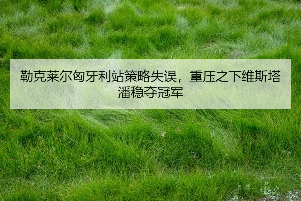 lei-ke-lai-er-xiong-ya-li-zhan-ce-lve-shi-wu-zhong-ya-zhi-xia-wei-si-ta-pan-wen-duo-guan-jun-2-890.jpg