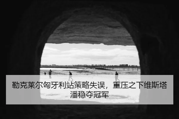 lei-ke-lai-er-xiong-ya-li-zhan-ce-lve-shi-wu-zhong-ya-zhi-xia-wei-si-ta-pan-wen-duo-guan-jun-3-313.jpg