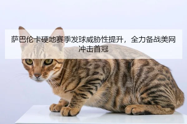 萨巴伦卡硬地赛季发球威胁性提升，全力备战美网冲击首冠