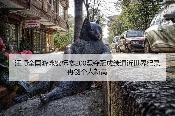 wang-shun-quan-guo-you-yong-jin-biao-sai-hun-duo-guan-cheng-ji-bi-jin-shi-jie-ji-lu-zai-chuang-ge-ren-xin-gao-3-173.jpg