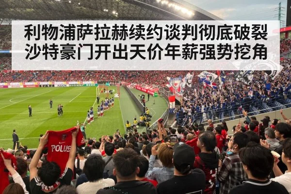 football stadium fans